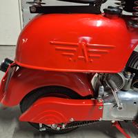 MV Agusta Ovunque 125 - FMI oro - 1952