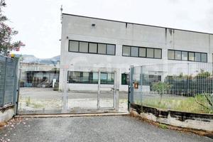 Capannone Industriale Massa [COM.12VCG]