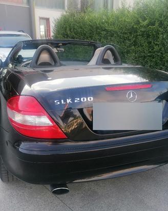 splendida auto