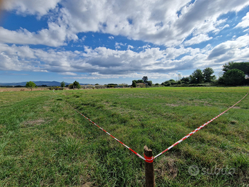 Terreno agr. 800 mt dal mare La Mazzanta - Vada