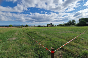 Terreno agr. 800 mt dal mare La Mazzanta - Vada