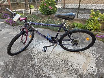 Montana bike
