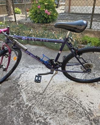 Montana bike
