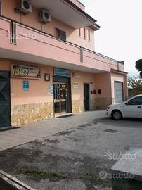 Locale Commerciale centro paese