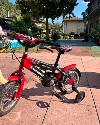Bicicletta