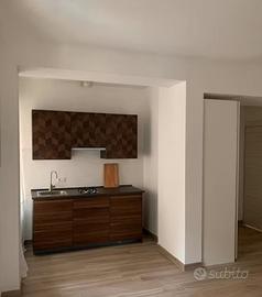 PONTe LUNGO MONOLOCALE ARREDATO BEN COLLEGATO