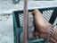 Immagine 4