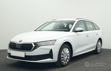 Skoda Octavia 2.0 tdi evo Executive 115cv N1 Autoc