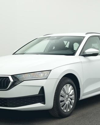 Skoda Octavia 2.0 tdi evo Executive 115cv N1 Autoc