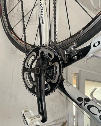 Bici da corsa Colnago