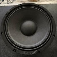 Woofer Proel V10+
