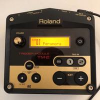 TM2 MODULE - ROLAND