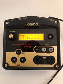 TM2 MODULE - ROLAND