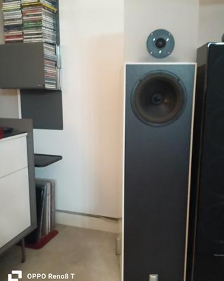 diffusori audio autocostruiti 