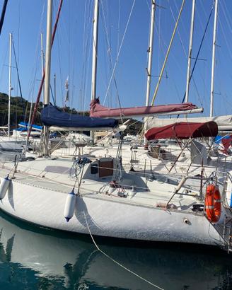 Barca a vela modello Balanzone di 9 metri