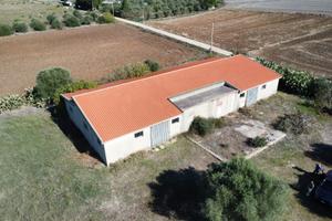 Monastir. Capannone con ingresso su strada statale