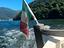 Immagine 6