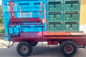 Semovente raccoglifrutta Festi