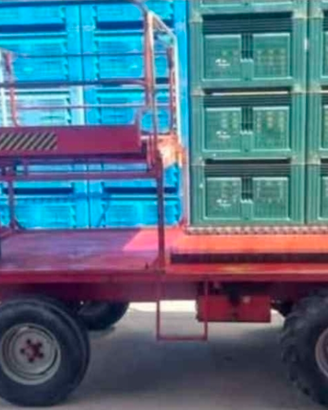 Semovente raccoglifrutta Festi