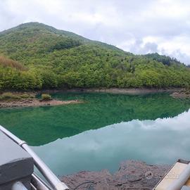 Bosco ceduo, Lago di Provvidenza, Campotosto(AQ)