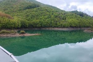 Bosco ceduo, Lago di Provvidenza, Campotosto(AQ)