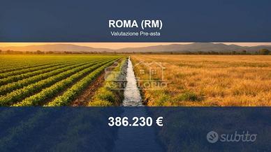 Immobile in asta di 57728 m² a Roma
