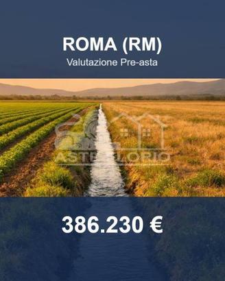 Immobile in asta di 57728 m² a Roma