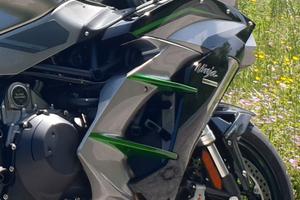 Kawasaki Ninja H2 SX - 2019