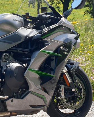 Kawasaki Ninja H2 SX - 2019