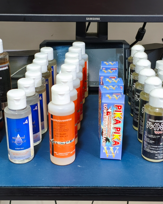 Neocaridine e caridine