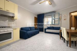 AMPIO BILOCALE CON CANTINA E BOX!