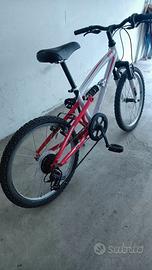 Bici misura 20