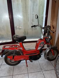 MINI Califfo Rizzato