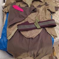 costume carnevale Peter Pan 