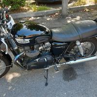 Triumph bonneville t100 black iniezione