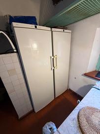 Coppia Frigo Freezer Liebherr