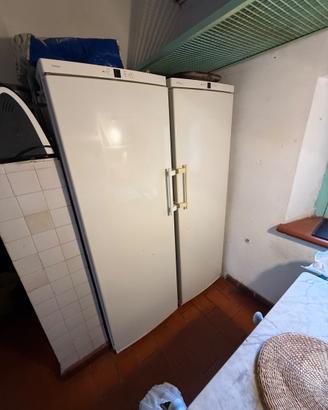 Coppia Frigo Freezer Liebherr