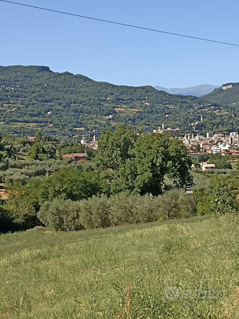 Terreno agricolo - Vista 5