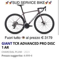 Bici giant