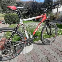 Bici mountain bike