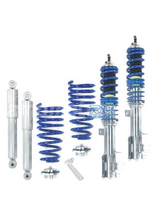 SOSPENSIONE FILETTATA BLUE LINE FIAT 500