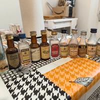 Bottiglie mignon alcolici