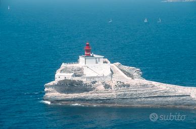 Trasferimenti gratis