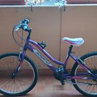 biciclette mountain bike