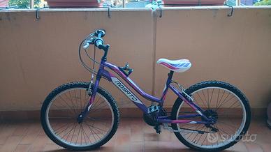 biciclette mountain bike