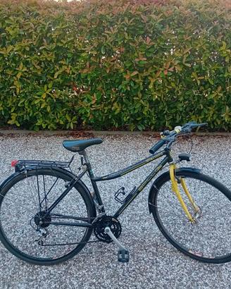 Bicicletta Bianchi Spillo 747