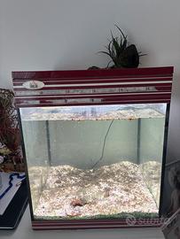 Acquario