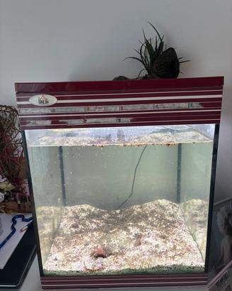 Acquario