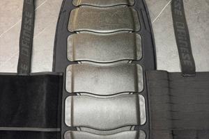 Paraschiena Dainese Bap 2 M