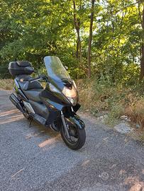 Silver Wing 400